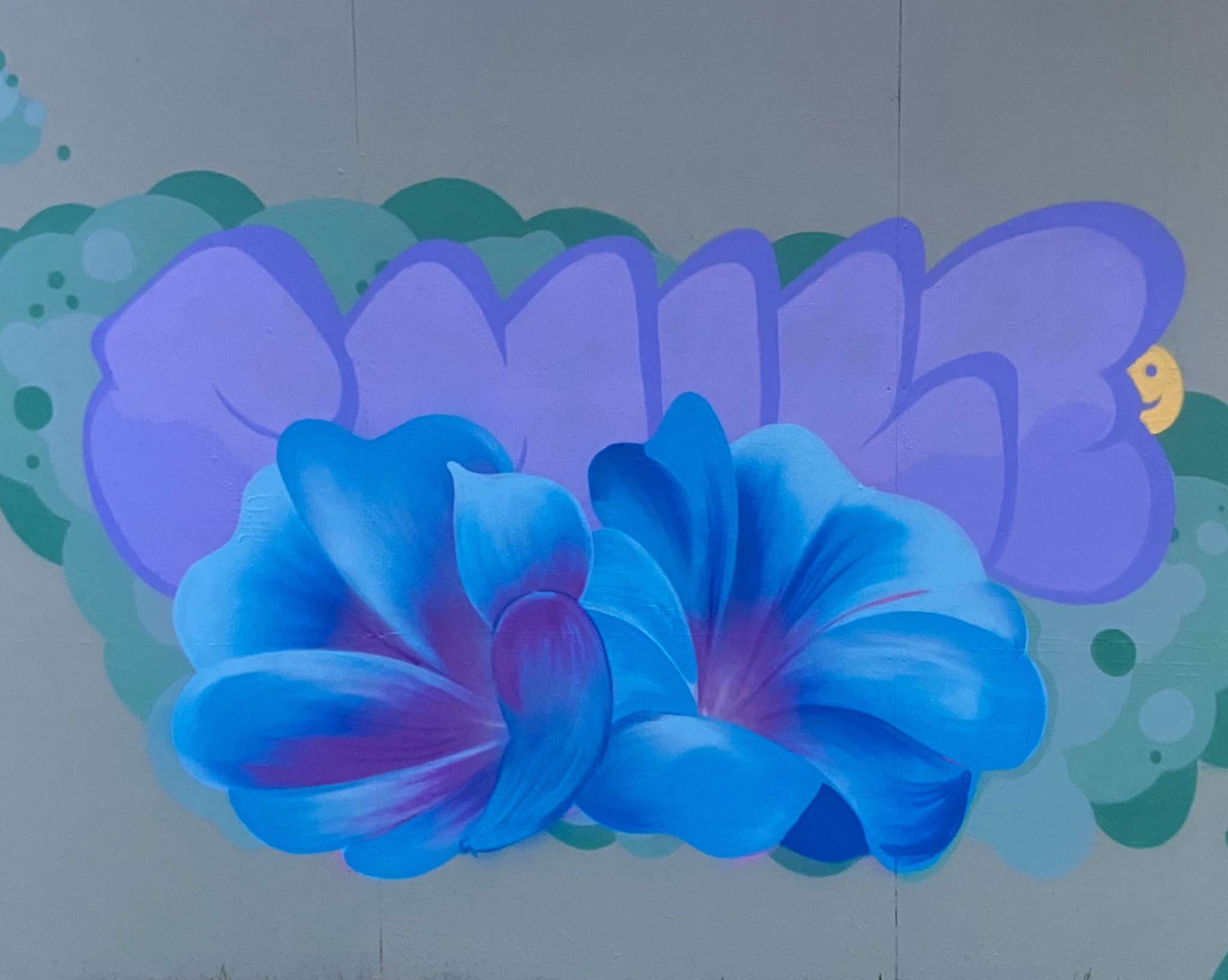 Smile Wall at the Tanner in Santa Cruz